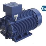 Ex Electromotor EUROMOTORI