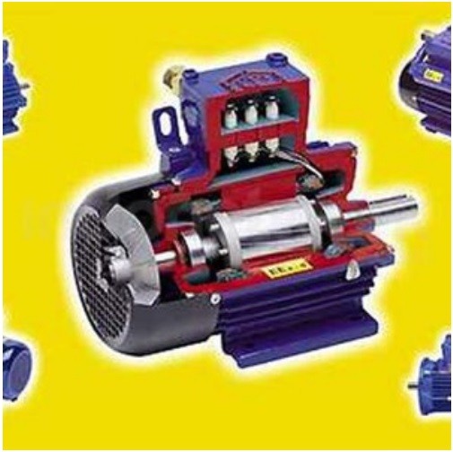 Jual Ex Electromotor EUROMOTORI - Gambar 2